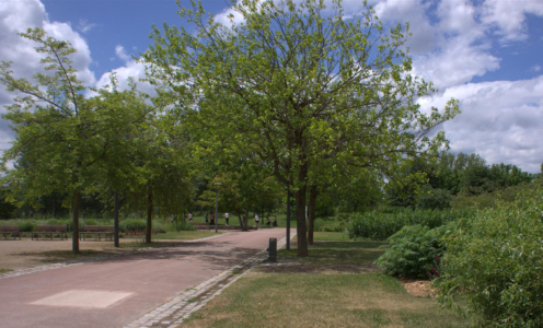 Parc de Gerland à Lyon (69), labellisé EcoJardin depuis 2012 dans la catégorie "Parcs et squares"